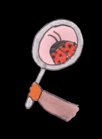 Ladybug Spamhour GIF by sam maurer