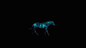 Horse Racing GIF by ZEDRUN