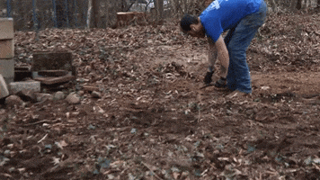Working Hard Yard Work GIF by JC Property Professionals