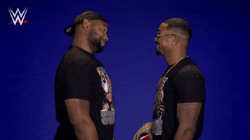 Great Job Reaction GIF by WWE