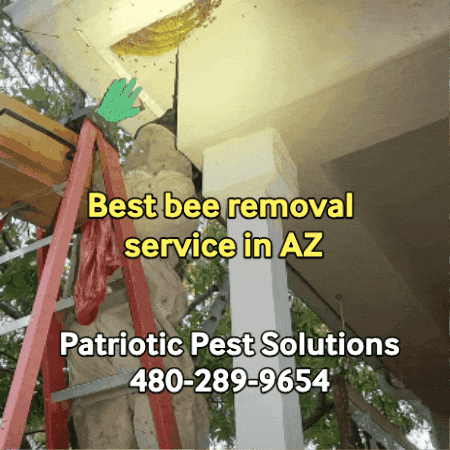 Ppsteam GIF by Patriotic Pest Solutions
