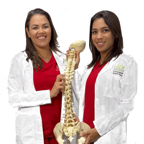 Spine Chiropractor Sticker by VidaChiro