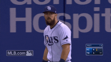 Tampa Bay Rays Points GIF by MLB
