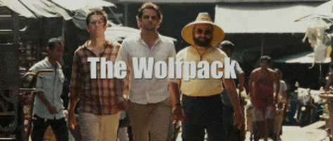 the wolfpack florida GIF