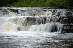 michigan