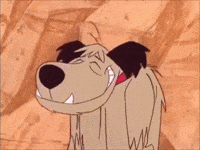 laughing dog animated gif