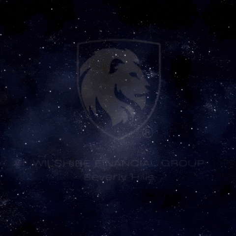 Wilshire Financial Group GIF