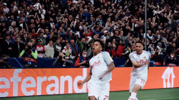 Jumping Champions League GIF by FC Red Bull Salzburg
