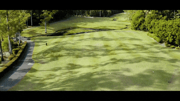 Golf Swing GIF by GolfBarons
