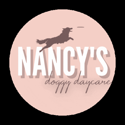 nancysdoggydaycare ndd nancys doggy daycare nancys doggie daycare GIF