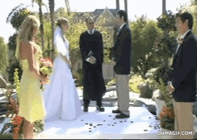 Wedding Day Fail Gif, Bride and Vicar in Pond