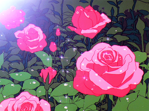 Flower aesthetic GIFs , Get the best GIF on GIPHY