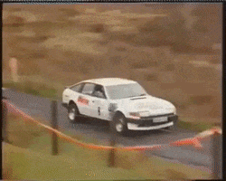 Rally GIF