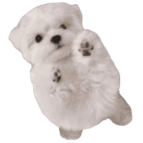 Dog Jump Sticker