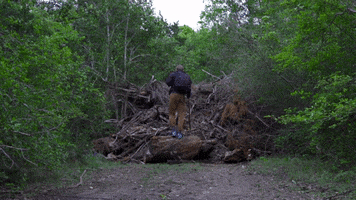 Hiking Shoe GIF