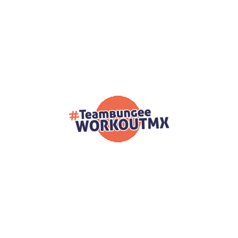 Bungeemx Sticker by The Bungee Workout