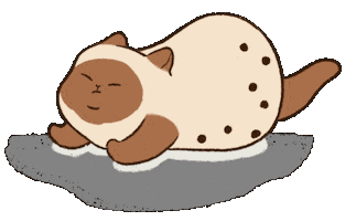 Cat Yawn Sticker by Niufy