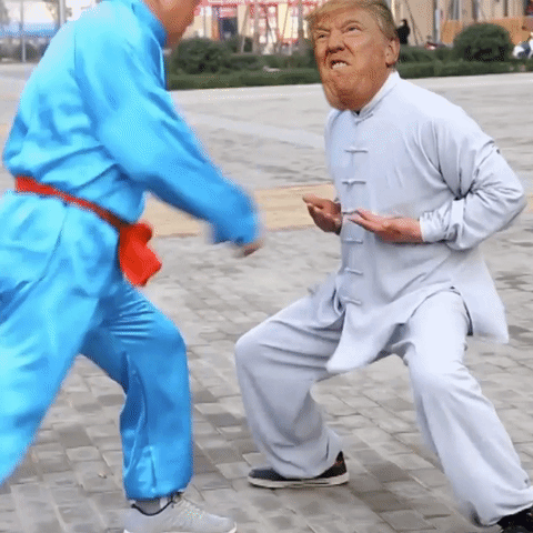 thefuckyeah trump cojones GIF