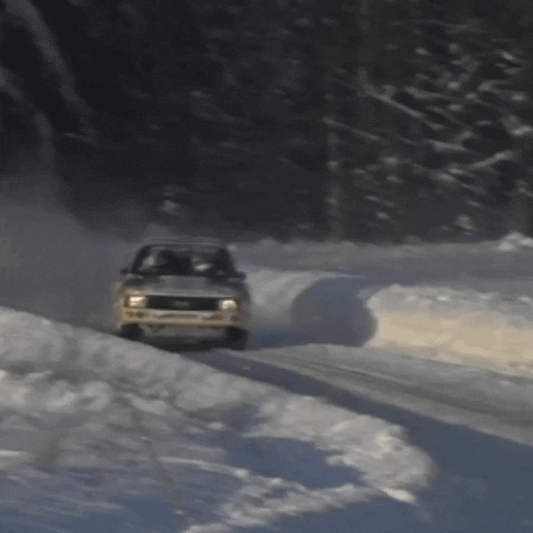 Snow Driving GIF by FIA World Rally Championship