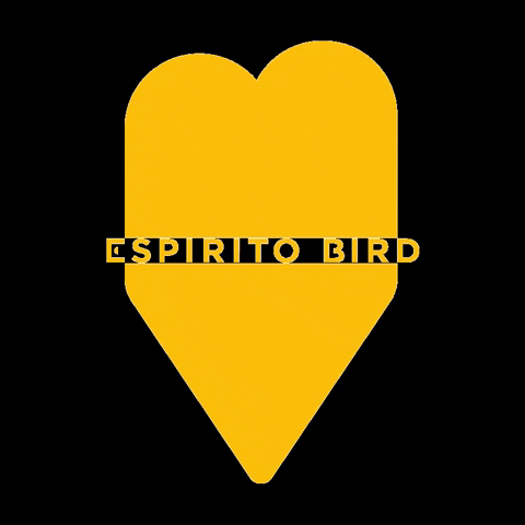 Espirito Bird GIF