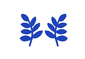 Summer Color Sticker