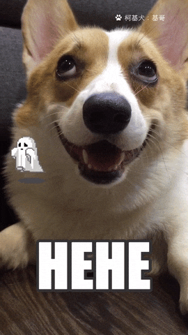 Dog Love GIF by Pamily by pamily