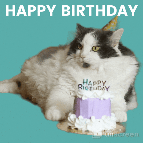 Amazon.com: Cat Happy Birthday Cake Topper Cat Theme Party Cake Decoration  for Meow Kitty Cat Birthday Party Baby Shower Supplies : Grocery & Gourmet  Food