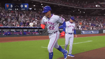 New York Mets Sport GIF by MLB