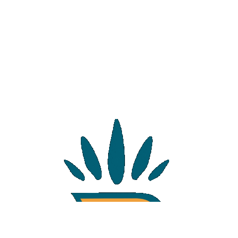 Bragança Chocolates Sticker