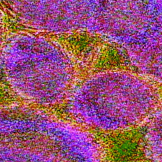 Slightwave GIF