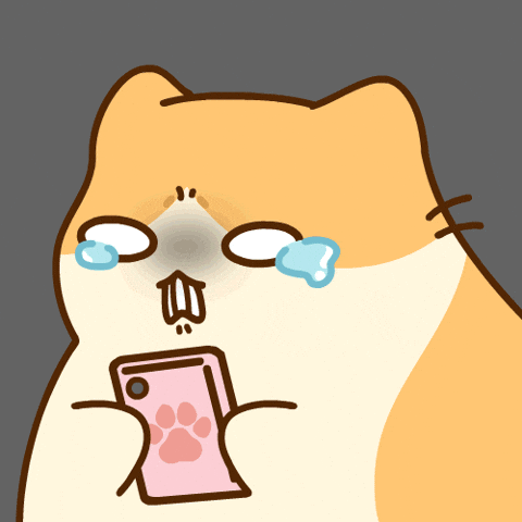 Catmeme GIF by Bichi Mao