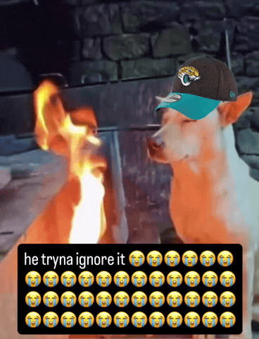 Jaguars Jags GIF