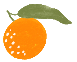 Orange Fruit Sticker by IVYNIU