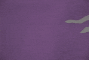 Flow GIF