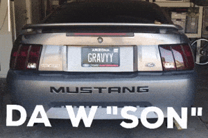 Son Mustang GIF