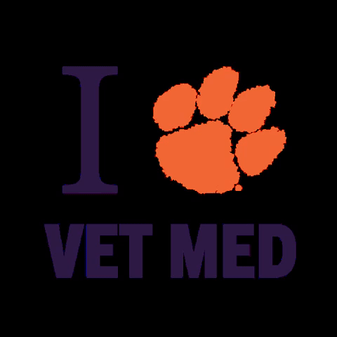 Clemson University Sc GIF by Clemson Vet Med
