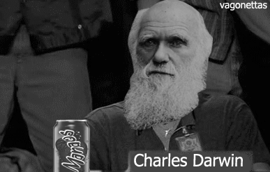 Image result for Darwin Day gif