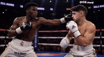 Real Madrid Fight GIF