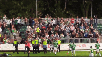 ytfc GIF by Yeovil Town FC