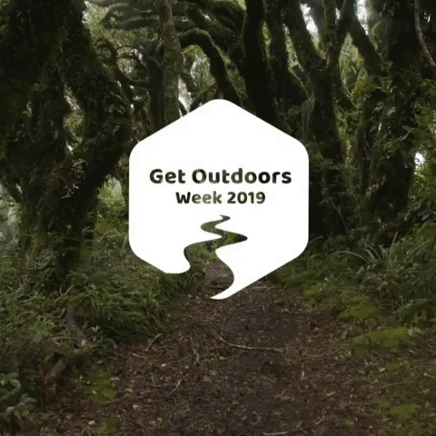 Goweeknz GIF by NZMountainSafety