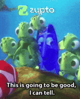 This Is Going To Be Good Lets Go GIF by Zypto