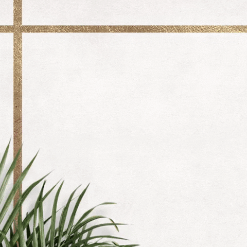 Dimare Planejados GIF