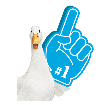 Happy March Madness Sticker by Aflac Duck