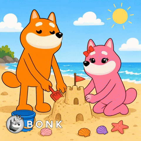 Summer Beach GIF by BONK