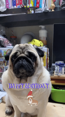 Happy Birthday GIF