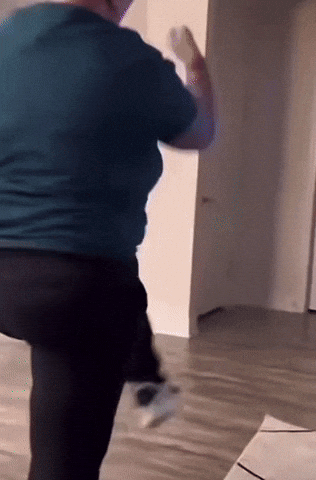 Lets Go Eagles Fan GIF