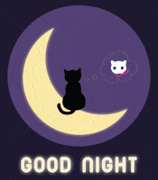 Miss U Good Night GIF by Babybluecat