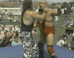 Wwe GIF