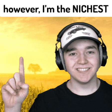 Niche GIF