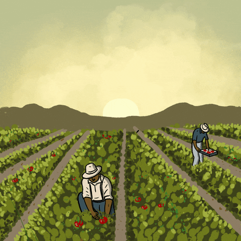 Farmworkers GIFs - Get the best GIF on GIPHY